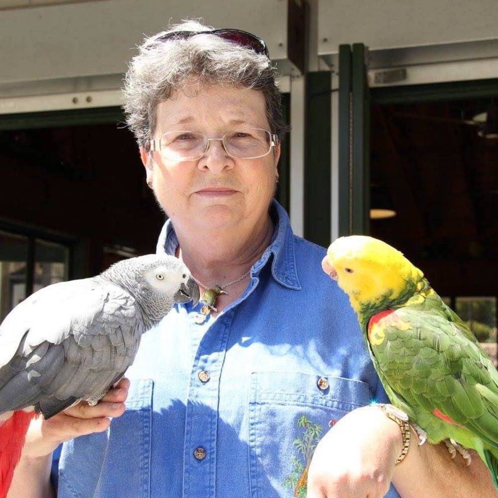 Meet your Posher, Jan